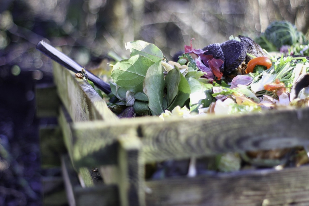 Bien trier ses déchets : le compost, une solution pratique et utile